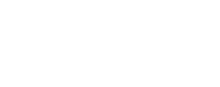 logos_newton_2019